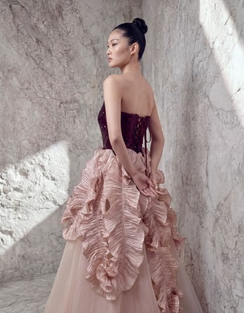 Coral wide